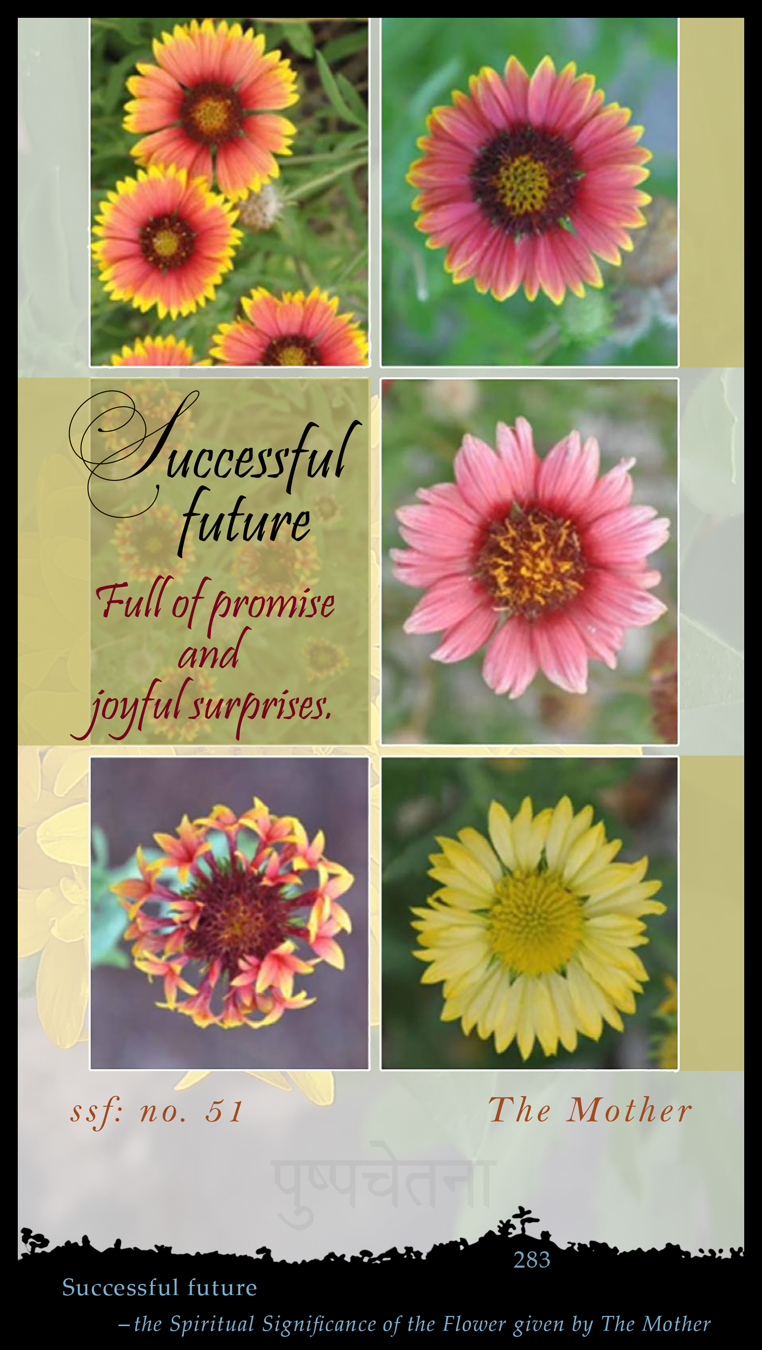 Successful Future